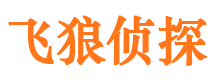 点军市侦探调查公司